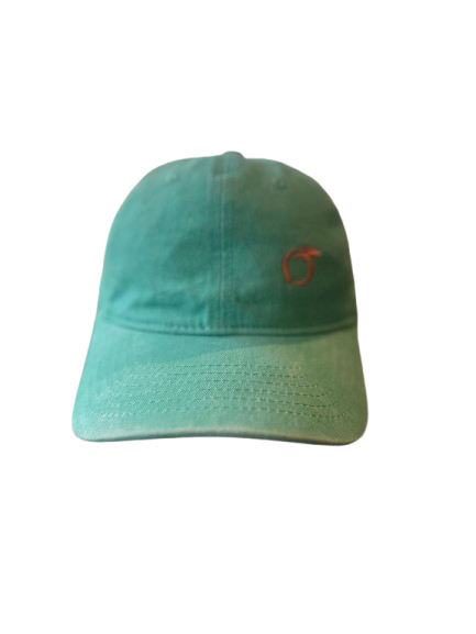 Silky lined baseball cap