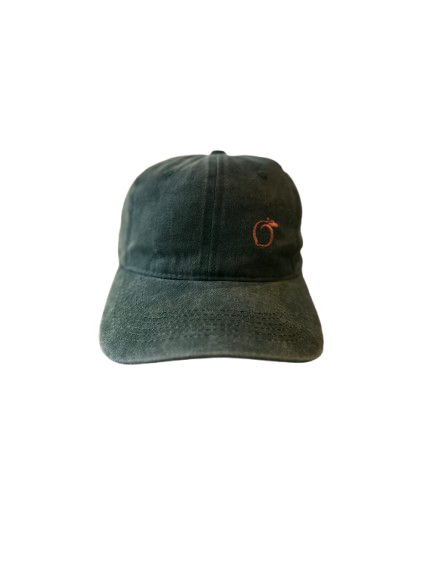 Silky lined baseball cap